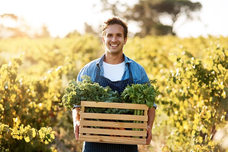 Fermier